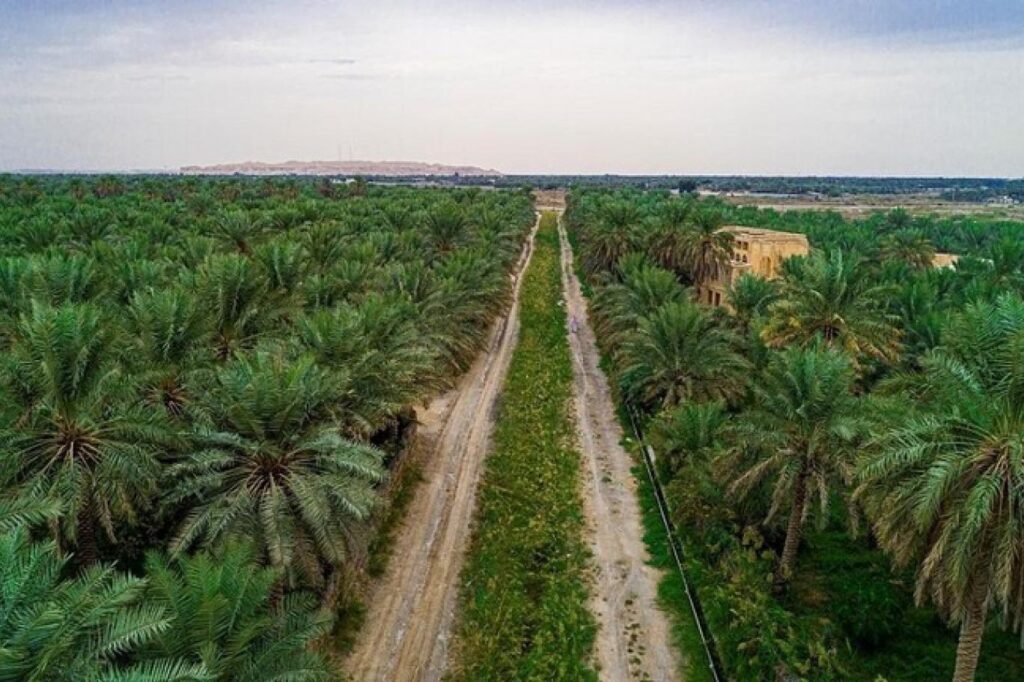 “أحياها الإنسانية” تدعم وتشارك في رحلة خير السعودية التنموية لمحافظة الأحساء
